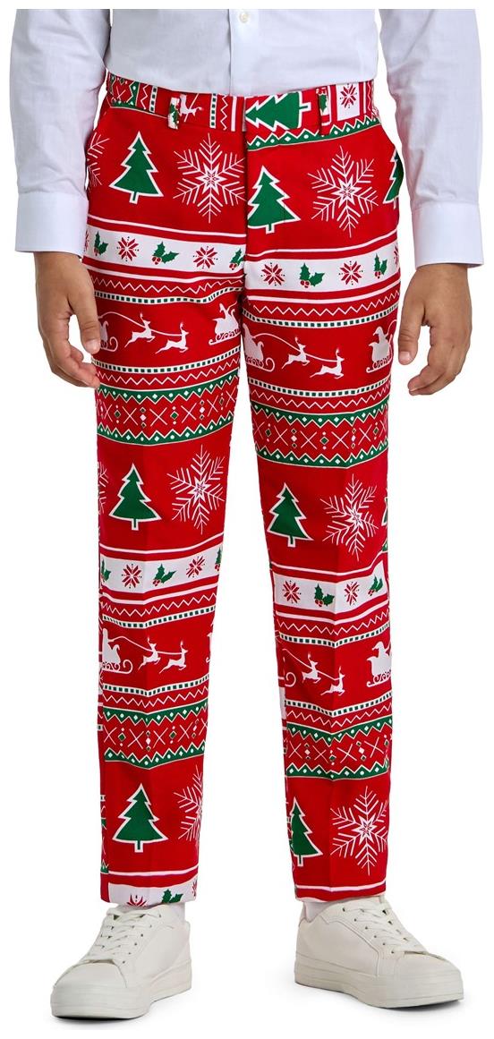 OppoSuits Teen Boys' Suits TEEN BOYS Winter Wonderland