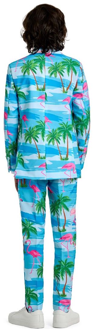 OppoSuits Teen Boys' Suits TEEN BOYS Flaminguy