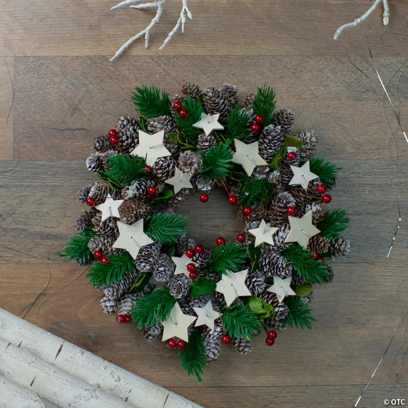 Pine Cone and Berries with Stars Artificial Christmas Wreath  10-Inch  Unlit