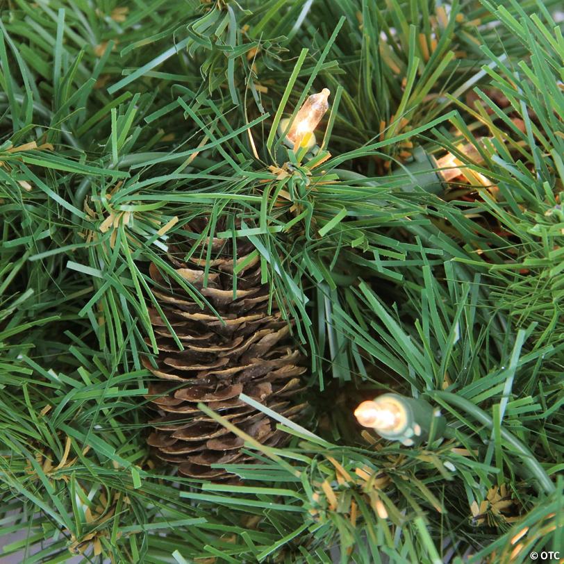 Pre-Lit Dakota Pine and Pinecone Artificial Christmas Wreath - 24" - Clear Lights