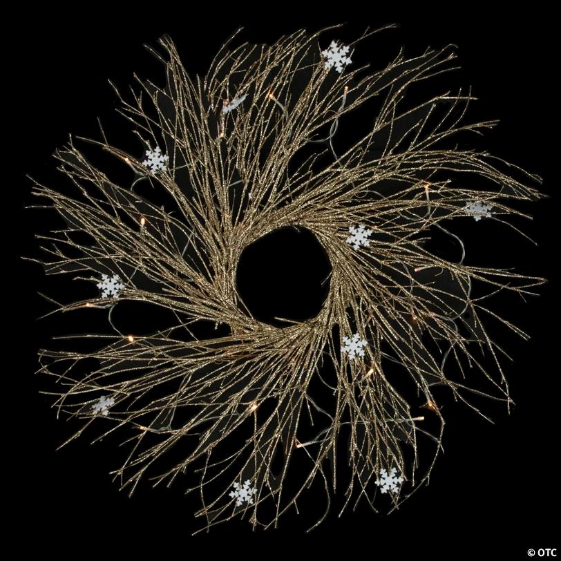 Pre-lit Glittered Twig and Snowflake Christmas Wreath - 28" - Warm White LED Lights