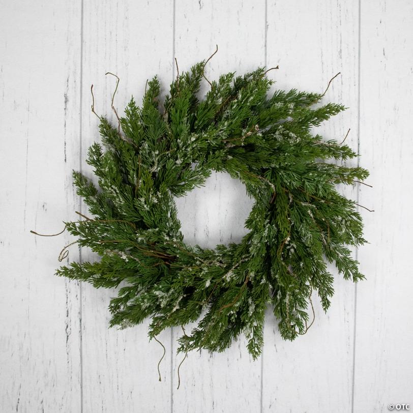 Real Touch™️ Iced Cedar Artificial Christmas Wreath  - 24" - Unlit