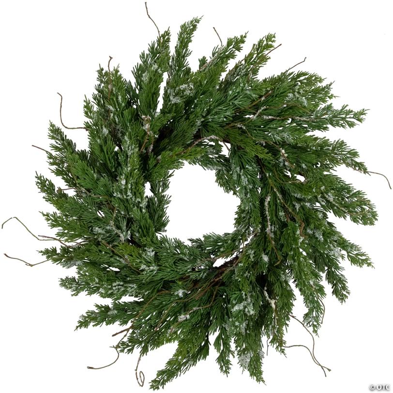Real Touch™️ Iced Cedar Artificial Christmas Wreath  - 24" - Unlit