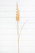 38" Golden Field Grass Stalk