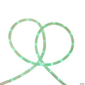 Sienna 102' Green Outdoor Decorative Christmas Rope Lights