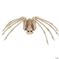 Spider Skeleton Halloween Decoration