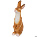 Standing Curious Bunny Outdoor Garden Statue - 19