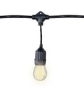 48' Warm White Suspended Patio Light Set - S14 LED Bulbs Included