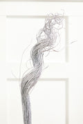 22" Coco Curly Ting Ting Bundle Of 50 - Silver