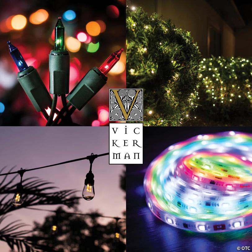 Vickerman 100 Orange Mini Light on Green Wire, 33' Christmas Light Strand