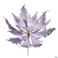 Vickerman 16" x 22" Silver Velvet Sequin Poinsettia Artificial Christmas Pick