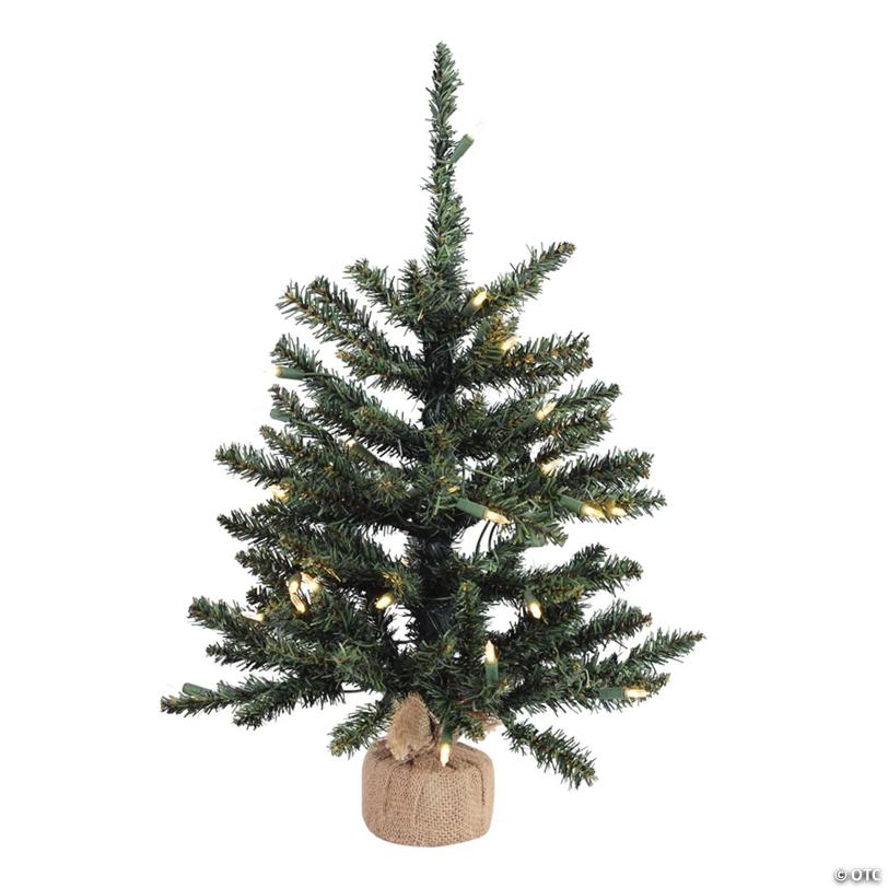 Vickerman 24" Anoka Pine Christmas Tree with Warm White LED Lights