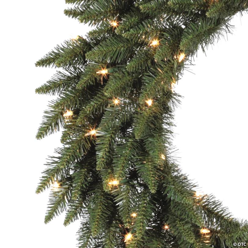 Vickerman 24" Camdon Fir Christmas Wreath with Warm White LED Lights