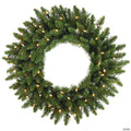 Vickerman 24" Camdon Fir Christmas Wreath with Warm White LED Lights