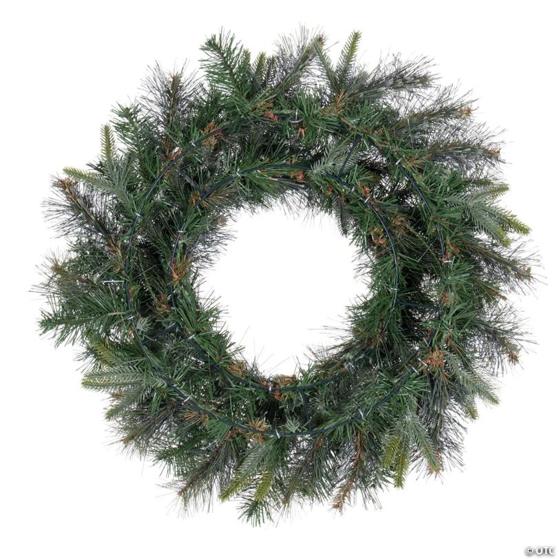 Vickerman 24" Cashmere Christmas Wreath - Unlit