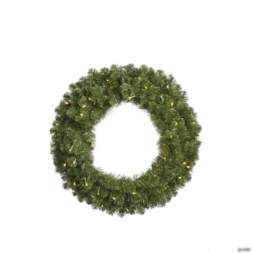 Vickerman 24" Grand Teton Artificial Christmas Wreath, Warm White Single Mold Wide Angle LED Lights