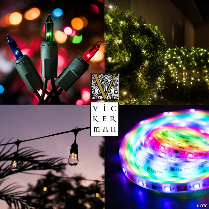 Vickerman 25 Multi-Colored Ceramic C7 LED Light on Green Wire, 16' Christmas Single Mold Light Strand
