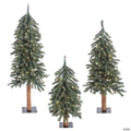Vickerman 2' 3' 4' Natural Bark Alpine Artificial Christmas Tree Set, Warm White Dura-lit LED Lights