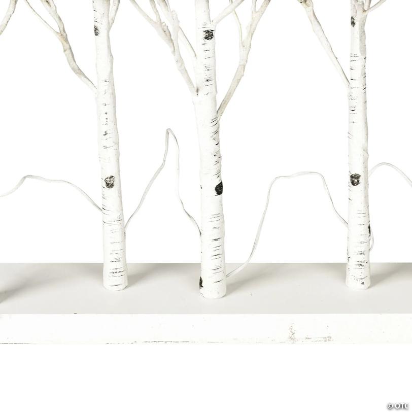Vickerman 30" White Birch Twig Tree Grove, Warm White 3mm Wide Angle LED lights, 5 Piece Set.