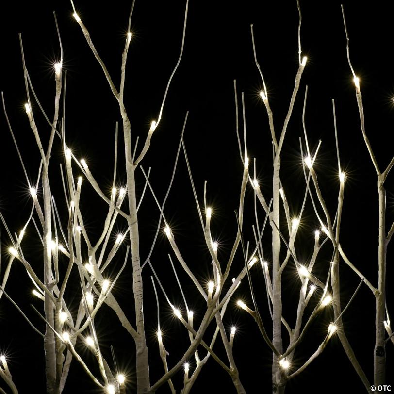 Vickerman 30" White Birch Twig Tree Grove, Warm White 3mm Wide Angle LED lights, 5 Piece Set.