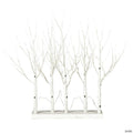 Vickerman 30" White Birch Twig Tree Grove, Warm White 3mm Wide Angle LED lights, 5 Piece Set.