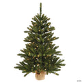 Vickerman 36" Anoka Pine Christmas Tree with Warm White LED Lights