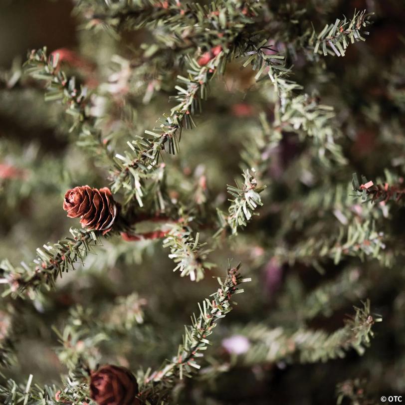 Vickerman 36" Carmel Pine Artificial Christmas Tree, Unlit