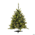 Vickerman 3' Cashmere Pine Christmas Tree with Warm White LED Lights