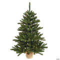 Vickerman 42" Anoka Pine Christmas Tree - Unlit