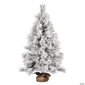 Vickerman 4' Frosted Beckett Pine Artificial Christmas Tree
