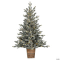 Vickerman 4' x 33" Gooding Potted Pine Tree, Warm White LED Mini Lights