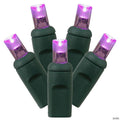 Vickerman 50 Purple Wide Angle LED Light on Green Wire, 25' Christmas Single Mold Light Strand