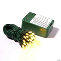 Vickerman 50 Warm White Wide Angle LED Light on Green Wire, 15' Battery Opeated Christmas Light Strand