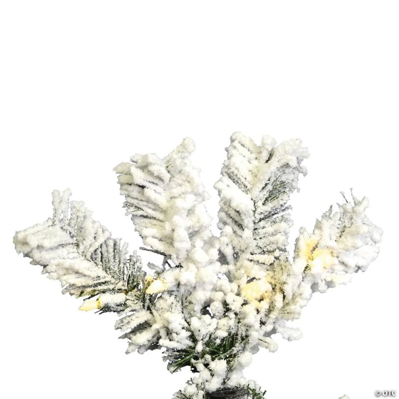 Vickerman 5.5' Flocked Pacific Christmas Tree with Warm White LED Lights
