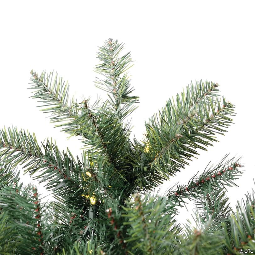 Vickerman 5.5' Salem Pencil Pine Christmas Tree with Warm White LED Lights
