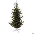 Vickerman 6' Alberta Spruce Artificial Christmas Tree, Warm White Dura-lit LED Lights
