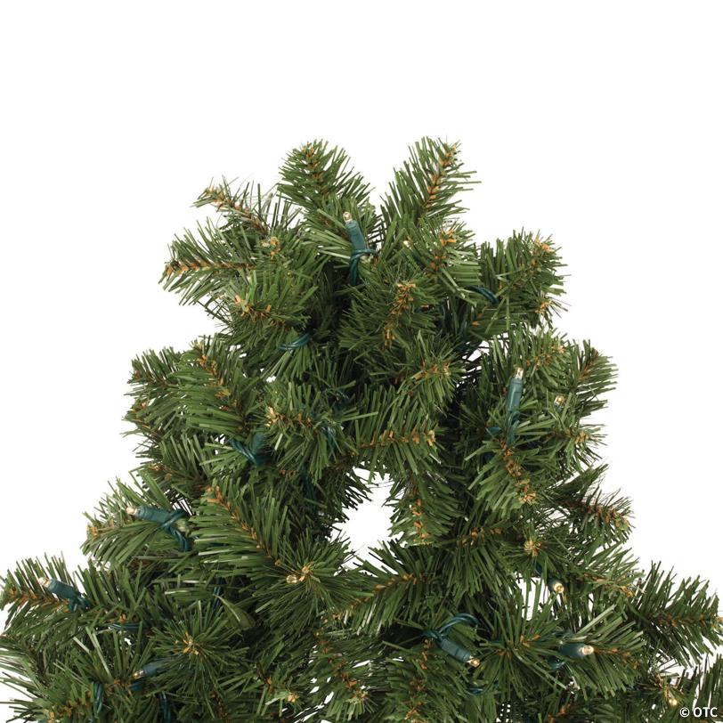 Vickerman 9' Oregon Fir Christmas Garland with Warm White LED Lights