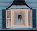 Window Wonder The Window Wonder For Christmas Lights - 4 Rod Pack