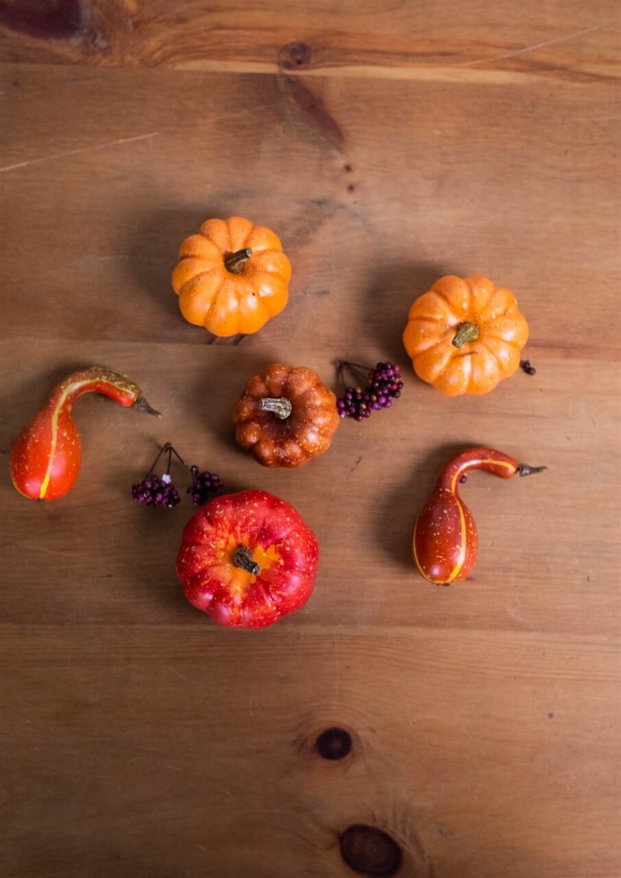 7” Bagged Pumpkins and Gourds