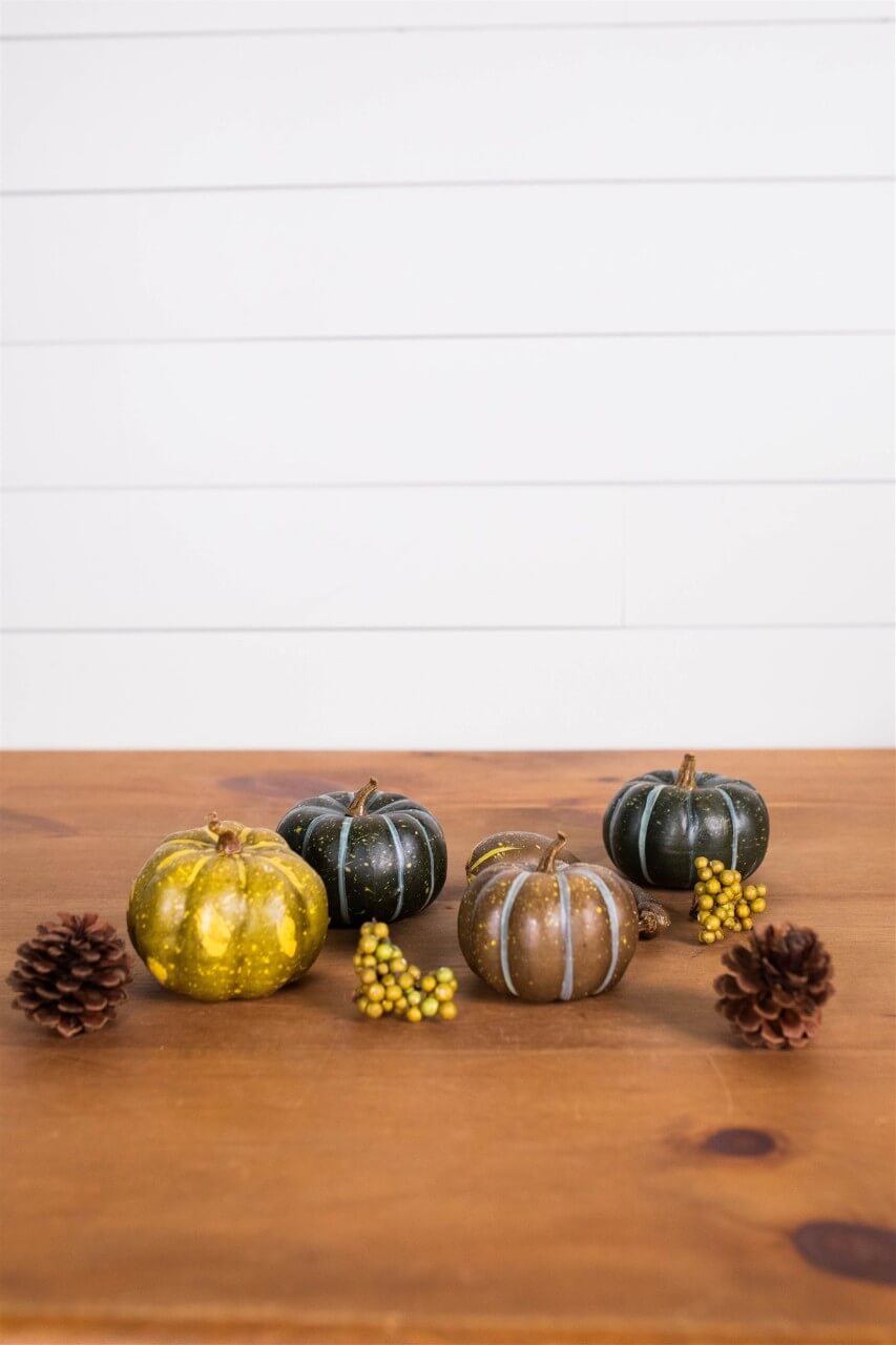 7” Bagged Pumpkins and Gourds