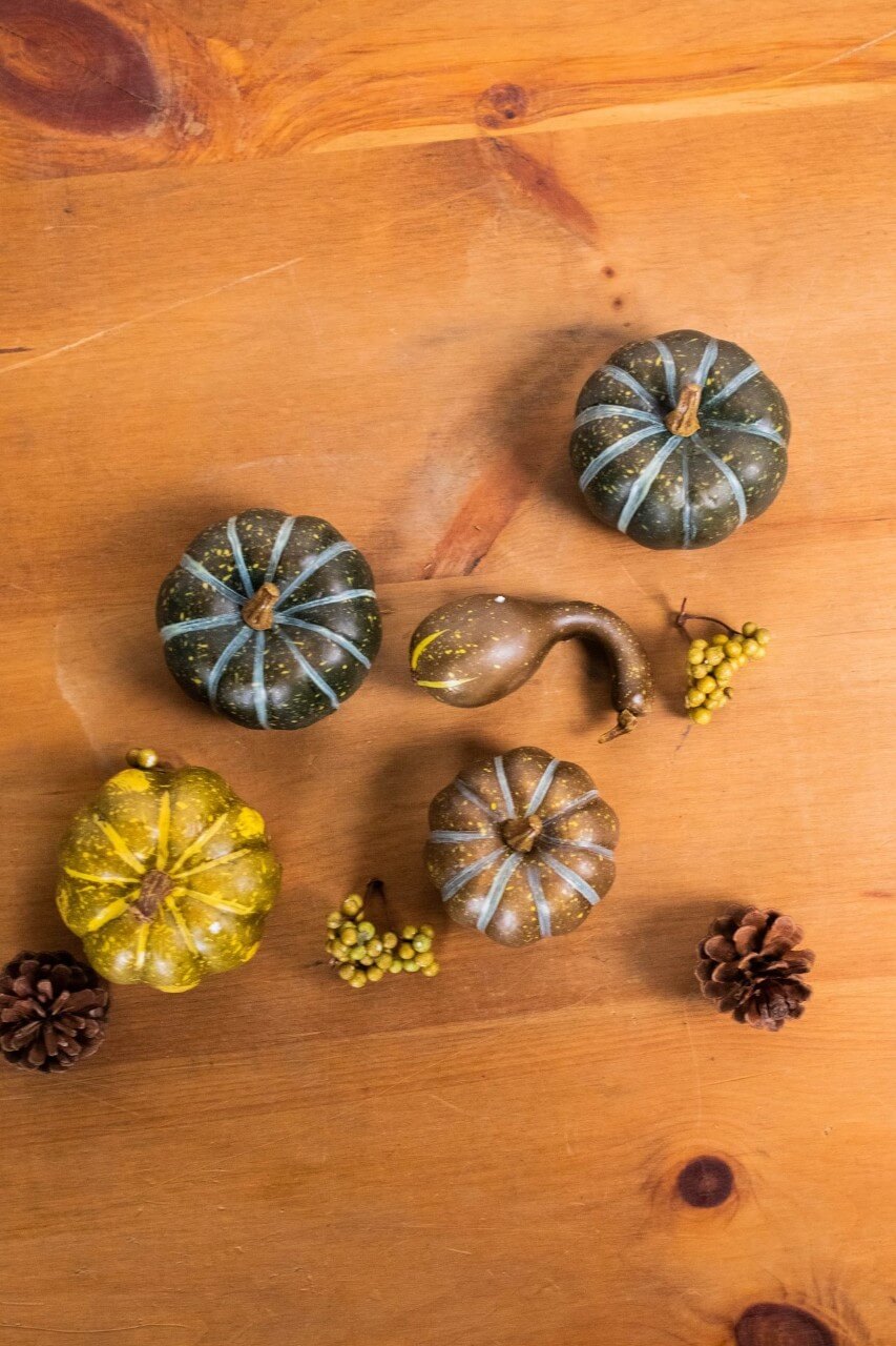 7” Bagged Pumpkins and Gourds