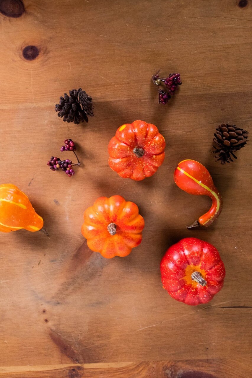 7” Bagged Pumpkins and Gourds