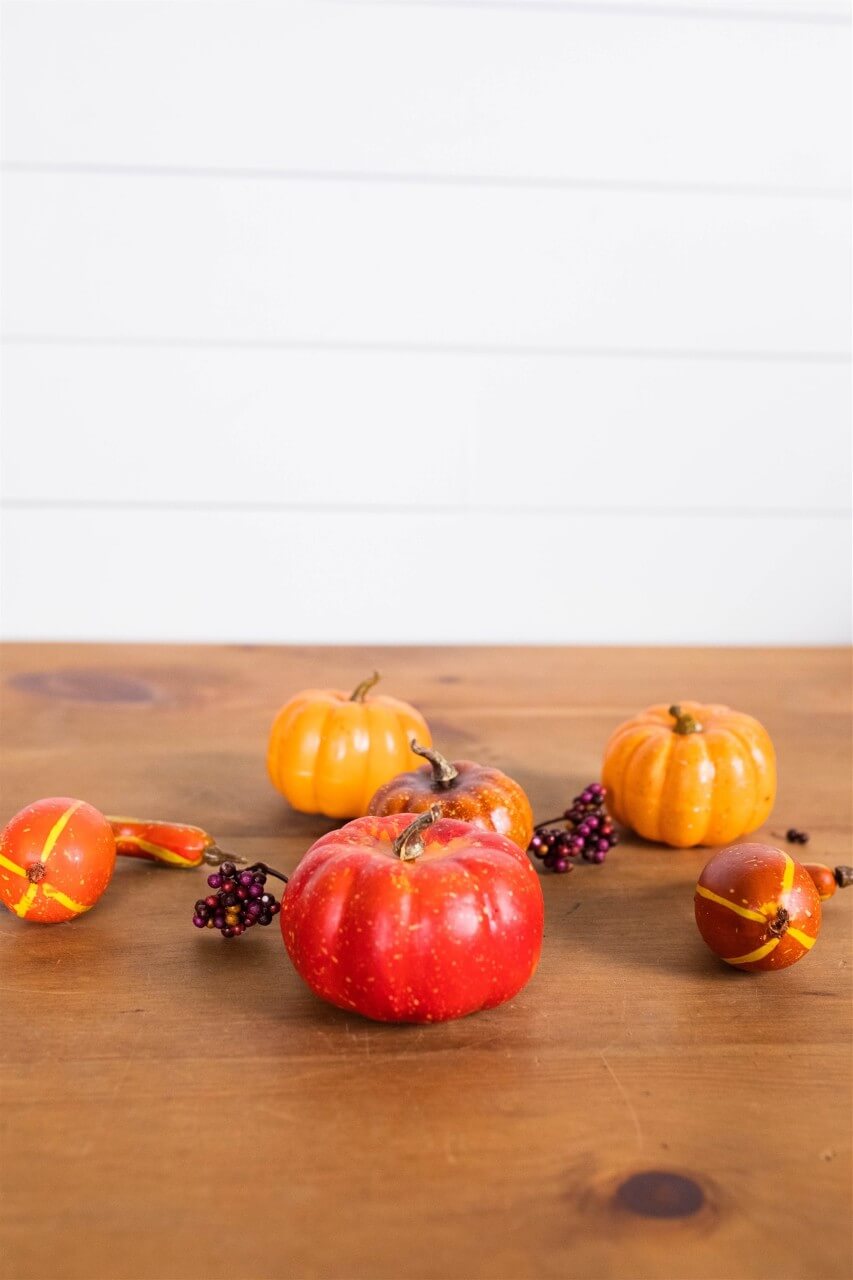7” Bagged Pumpkins and Gourds