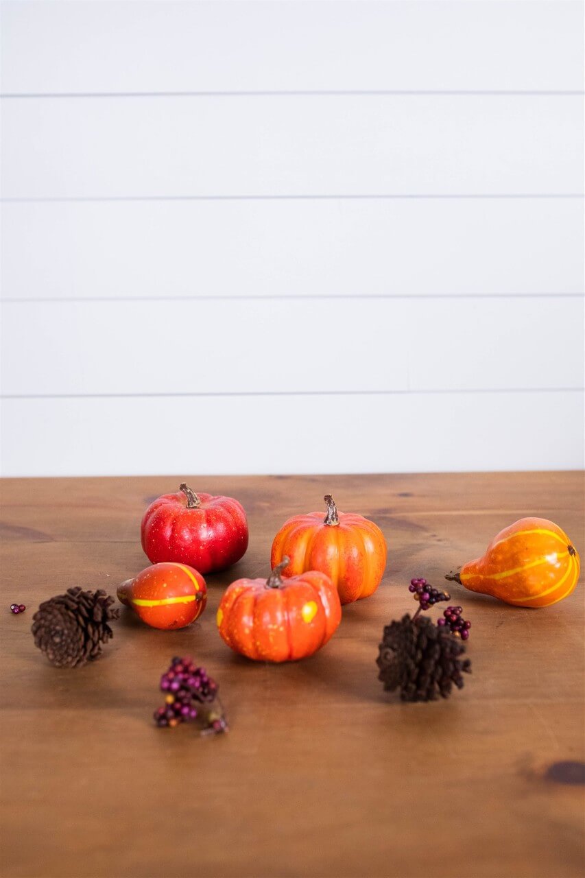 7” Bagged Pumpkins and Gourds