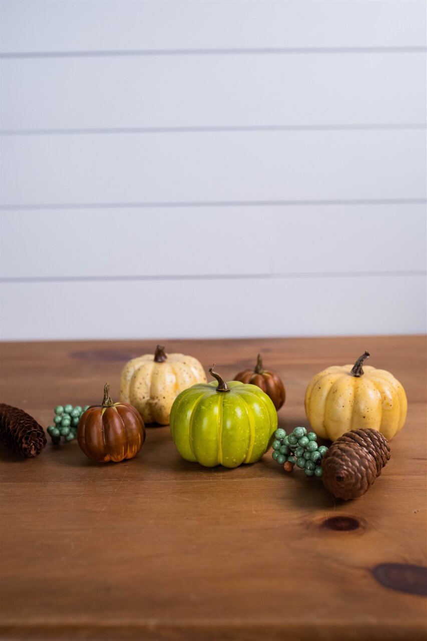 7” Bagged Pumpkins and Gourds