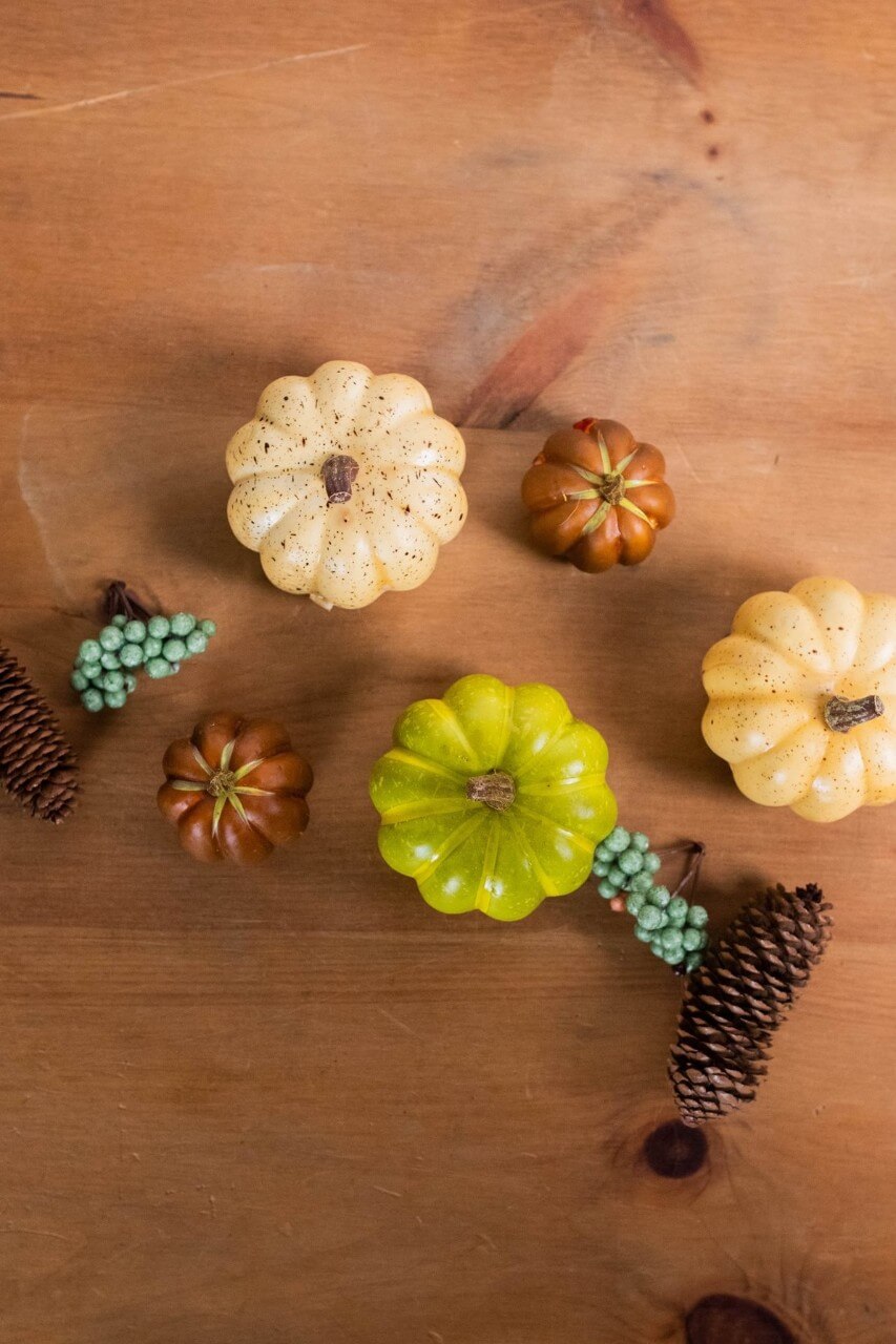7” Bagged Pumpkins and Gourds