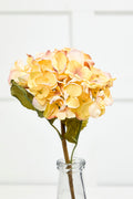 22" Dried Grand Hydrangea Stem - Yellow