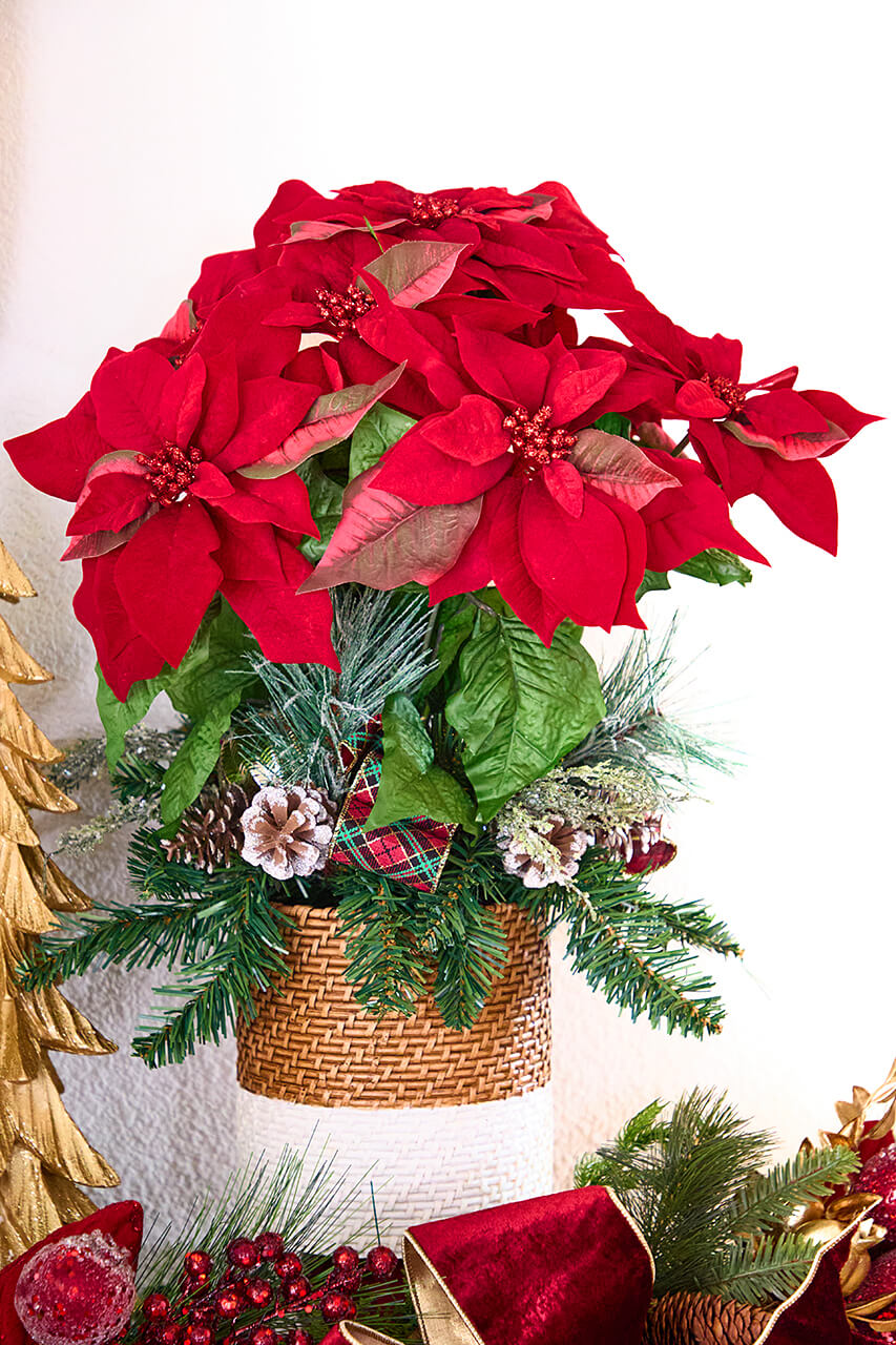 24" Potted Poinsettia
