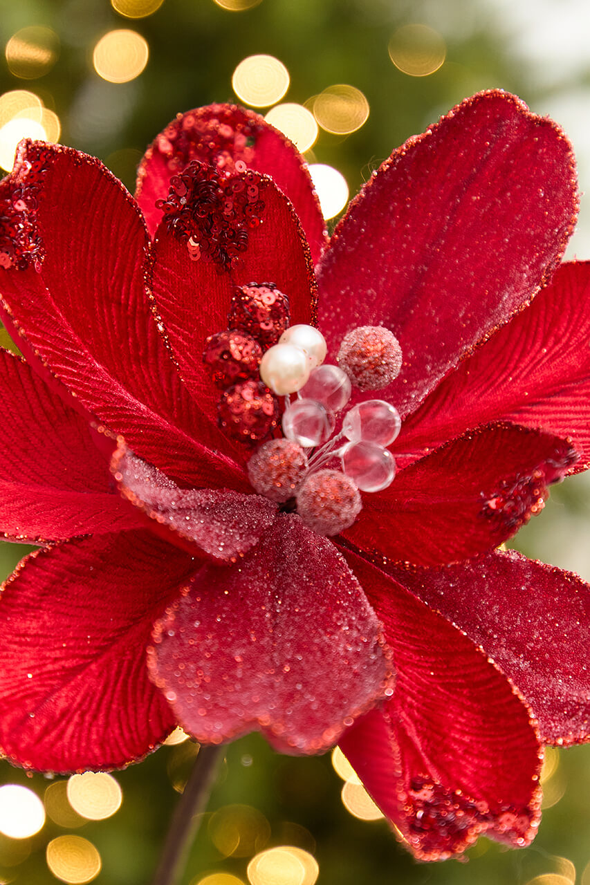 18" x 9" Red Jewel Magnolia Stem