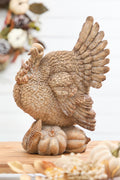 15.5" Resin Harvest Turkey with Gourd